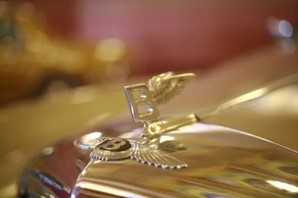 Winzinator Casino Android/iOS App